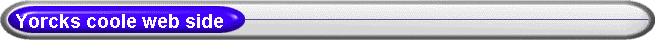 Yorcks coole web side